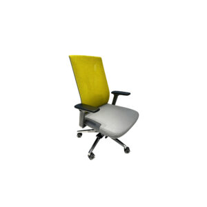 German-Designed Ergonomic Office Chair with Imported Elastic Mesh & Moving 3D Armrests
