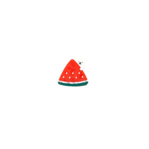 Cute Watermelon Bear Acetate Hair Claw Clip