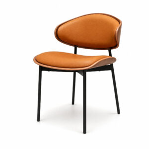Mid-Century Walnut Veneer Chair, white-background front or three-quarter view