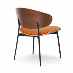 Mid-Century Walnut Veneer Chair, white-background rear or detail view