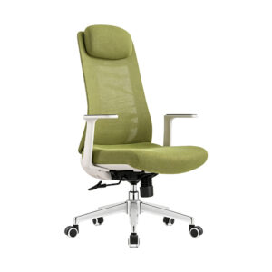 Vibrant Green Ergonomic High-Back Mesh Office Chair, white-background front or three-quarter view