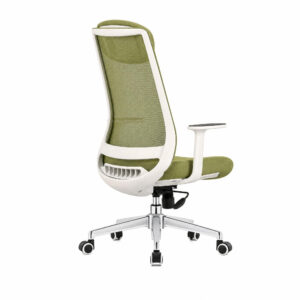 Vibrant Green Ergonomic High-Back Mesh Office Chair, white-background rear or detail view